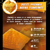 Imágenes y fotos de Quest Pyramid Flaming Sand. ESC WELT.