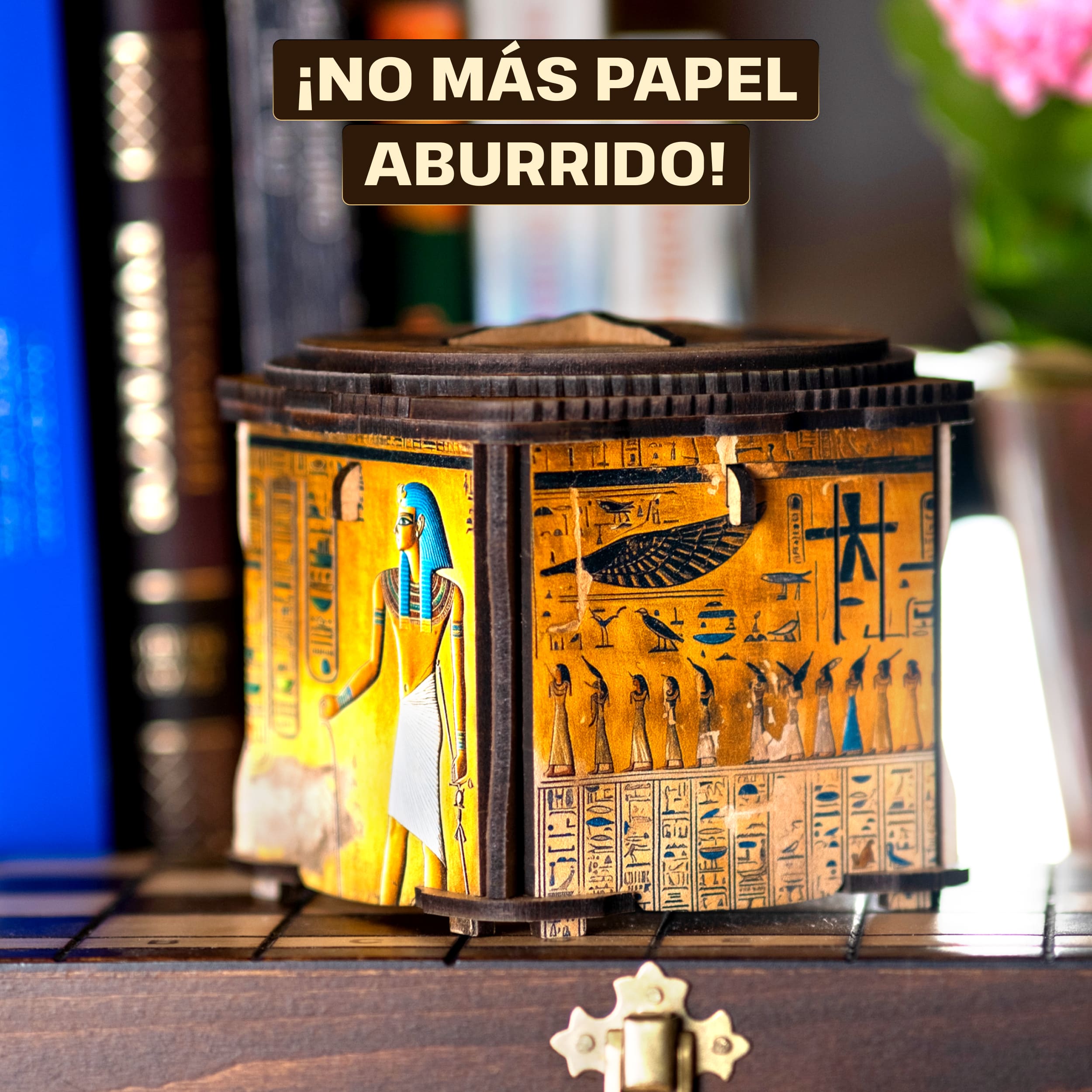 Imágenes y fotos de Art Secret Lock Box. ESC WELT.