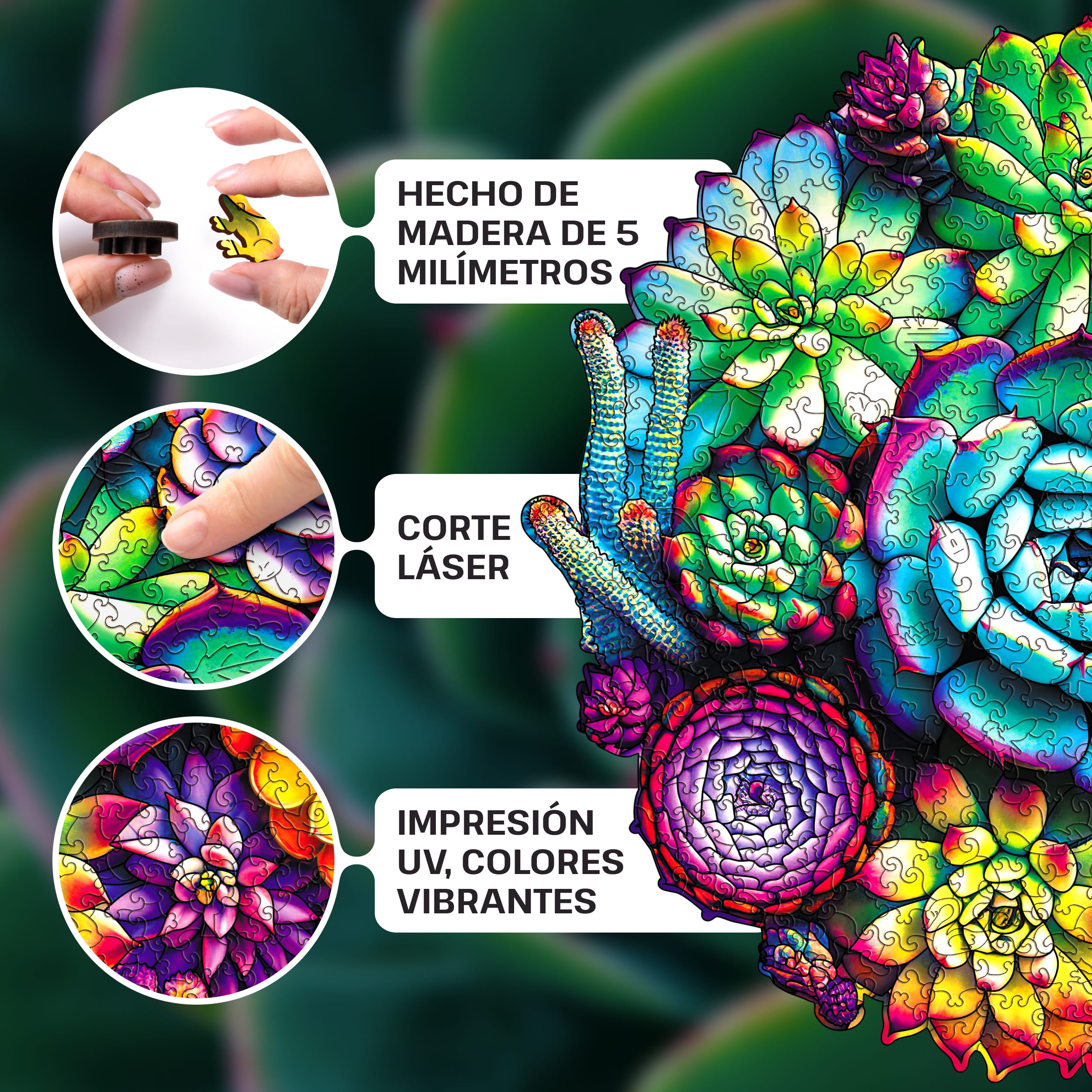 Imágenes y fotos de SUCCULENT PUZZLE 500 piezas. ESC WELT.