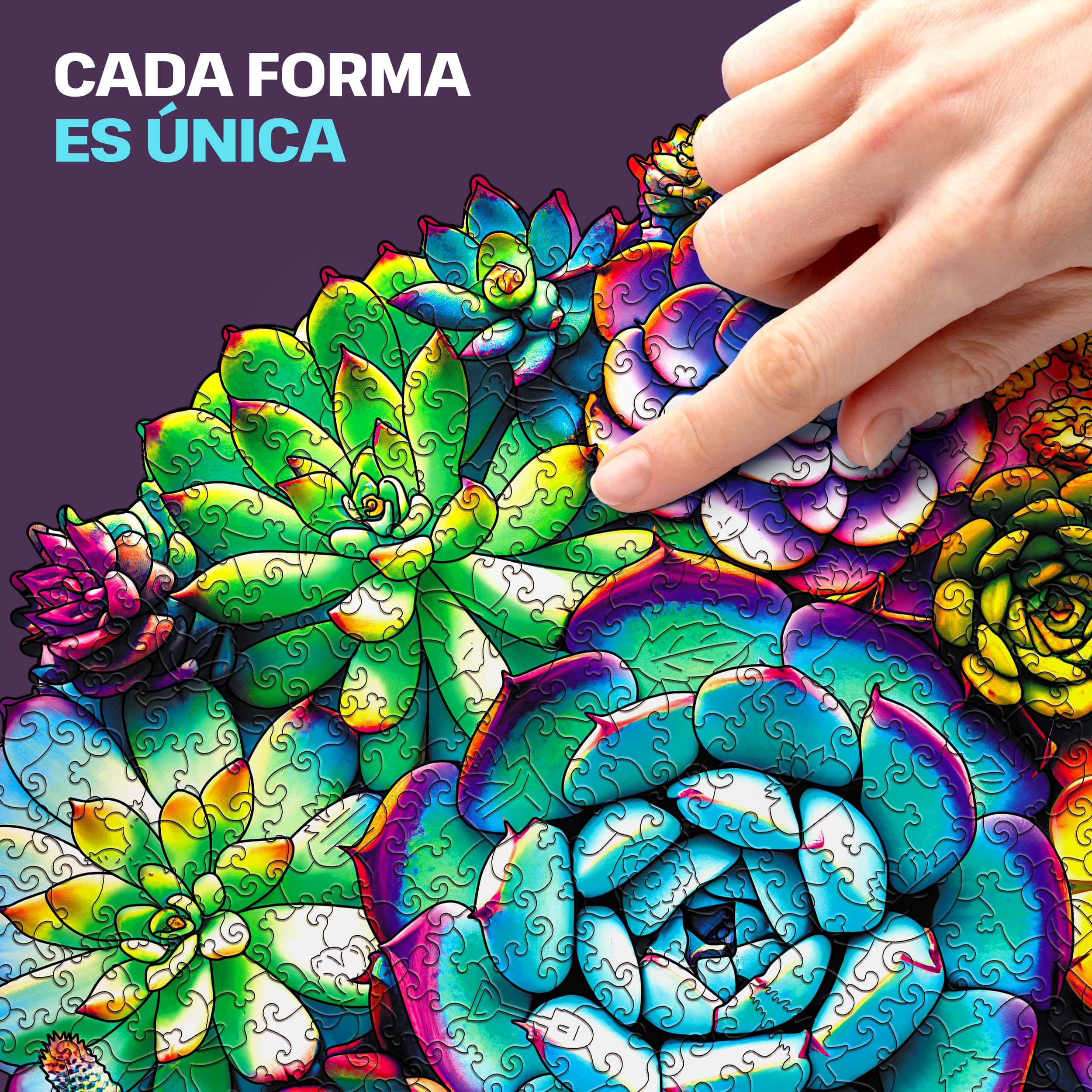 Imágenes y fotos de SUCCULENT PUZZLE 500 piezas. ESC WELT.