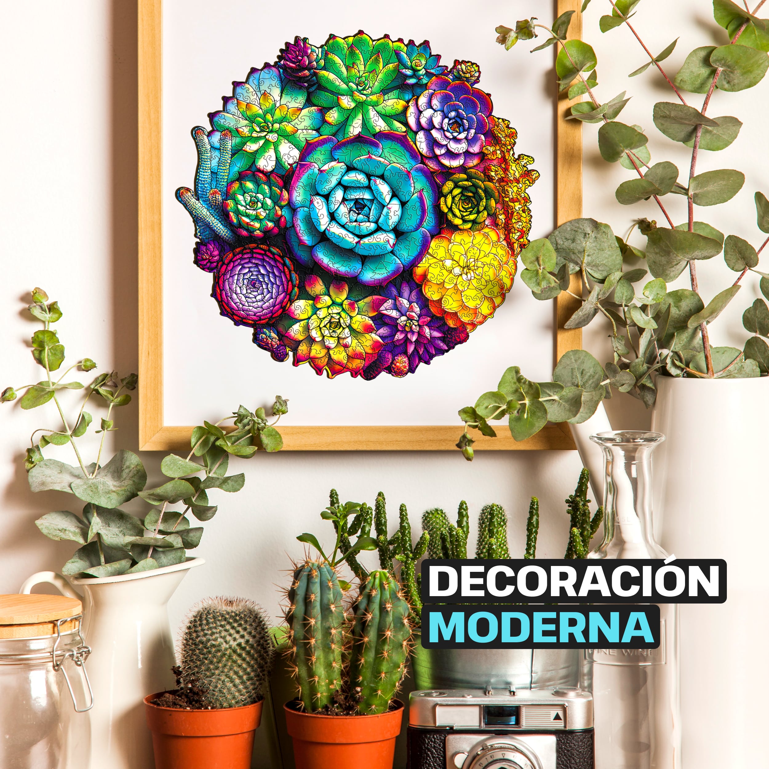 Imágenes y fotos de SUCCULENT PUZZLE 500 piezas. ESC WELT.