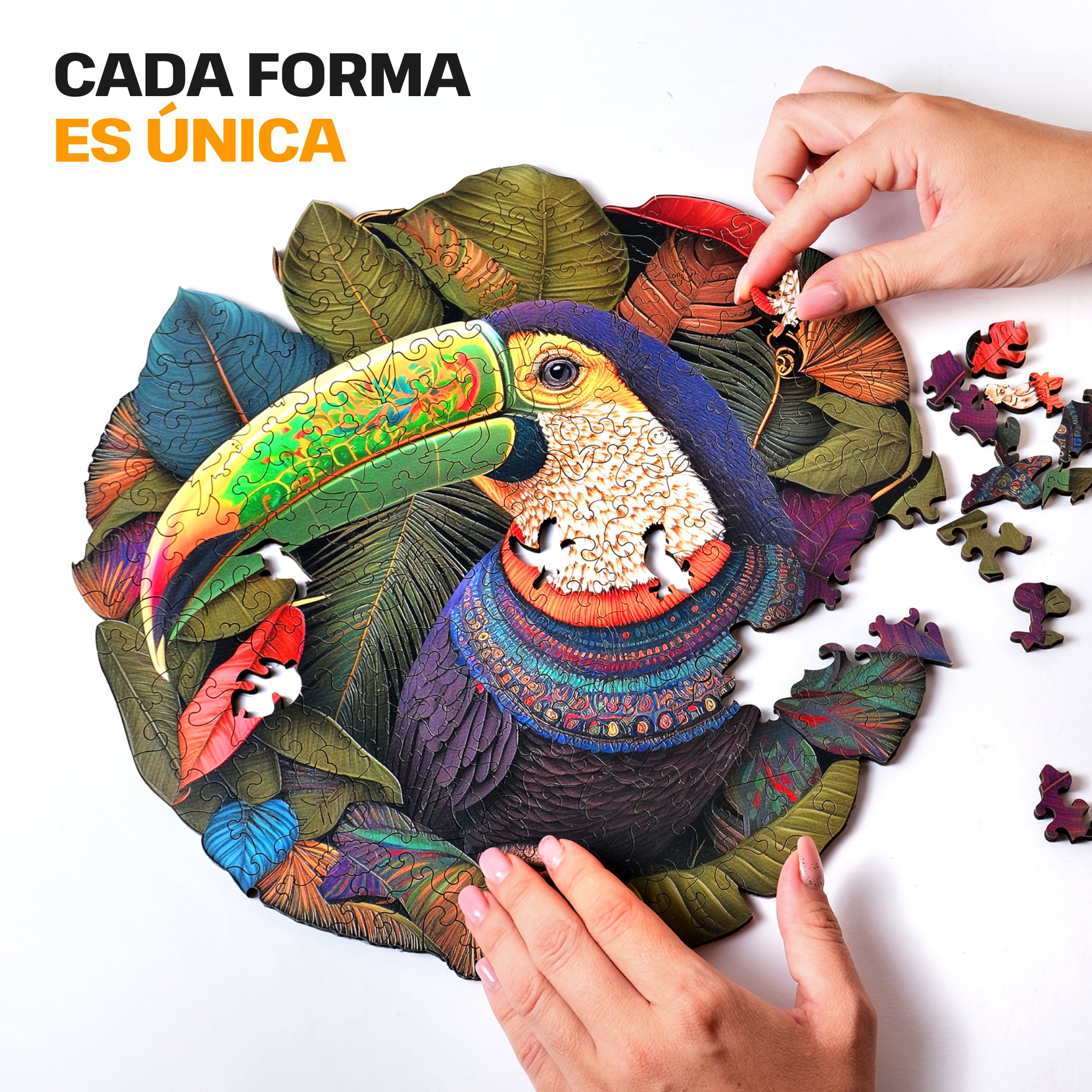 Imágenes y fotos de Toucan puzzle 200 piezas. ESC WELT.